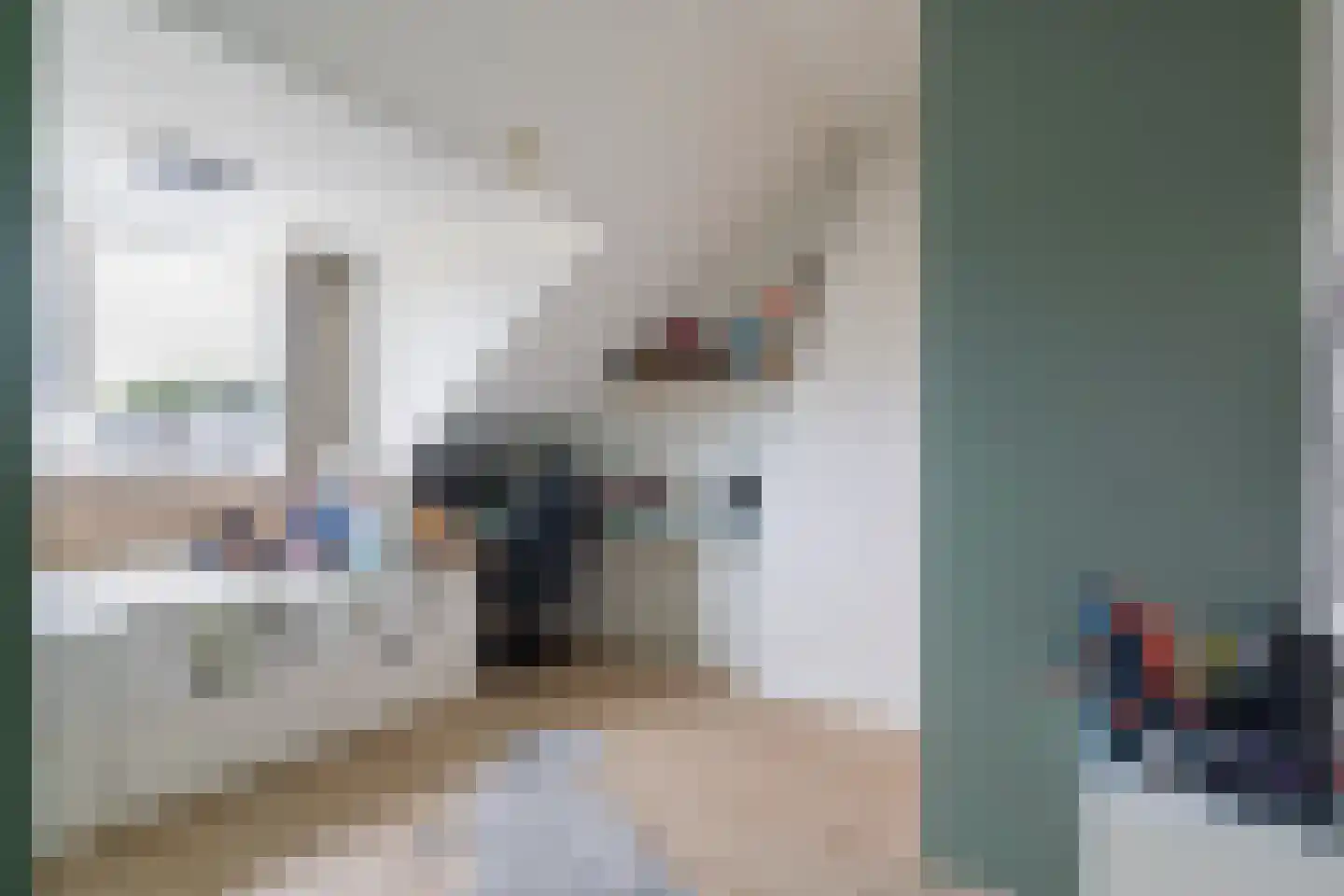 Rembrandtstraat 7 Hoogeveen thumbnail 37