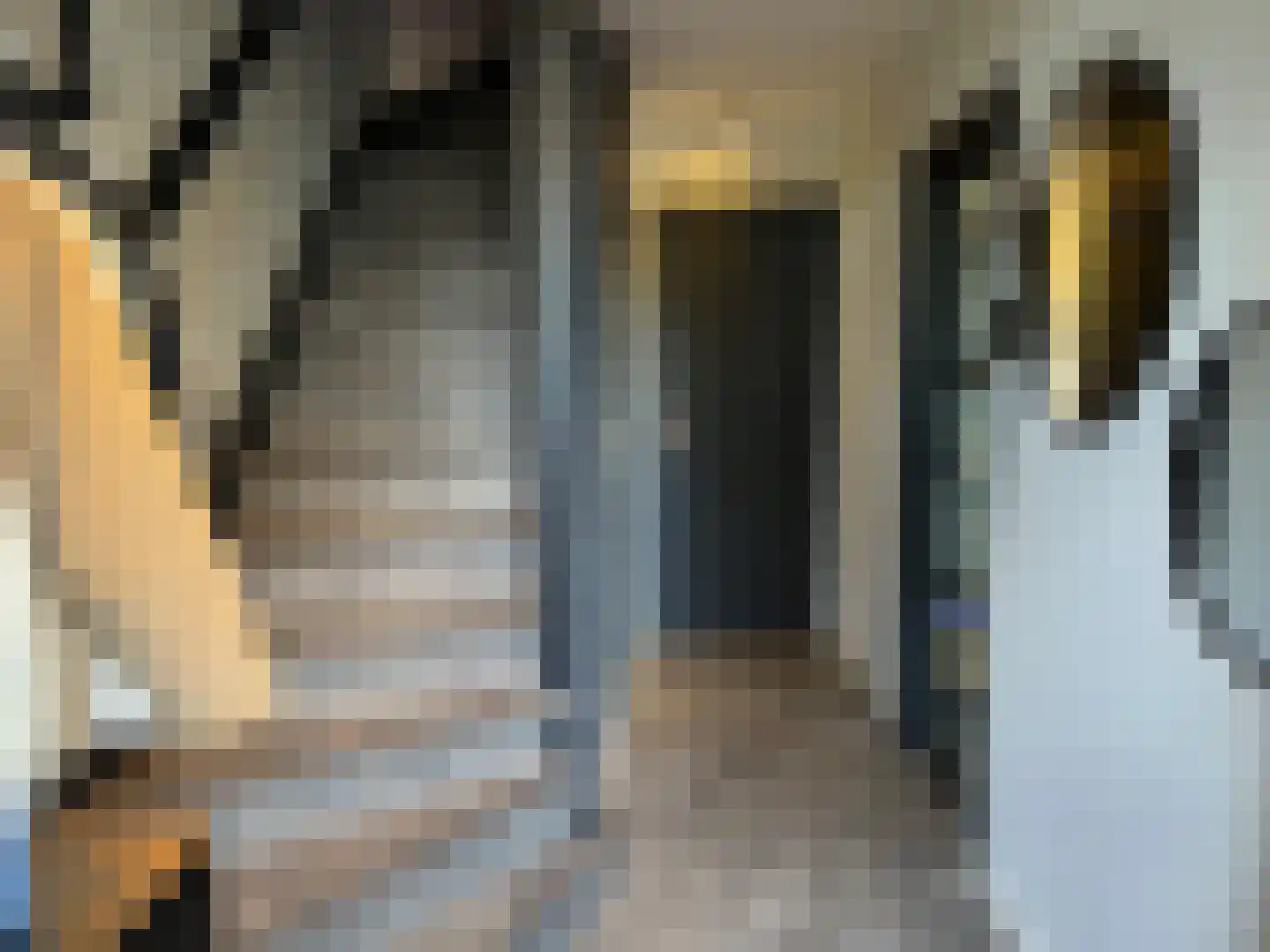 Rembrandtstraat 7 Hoogeveen thumbnail 4