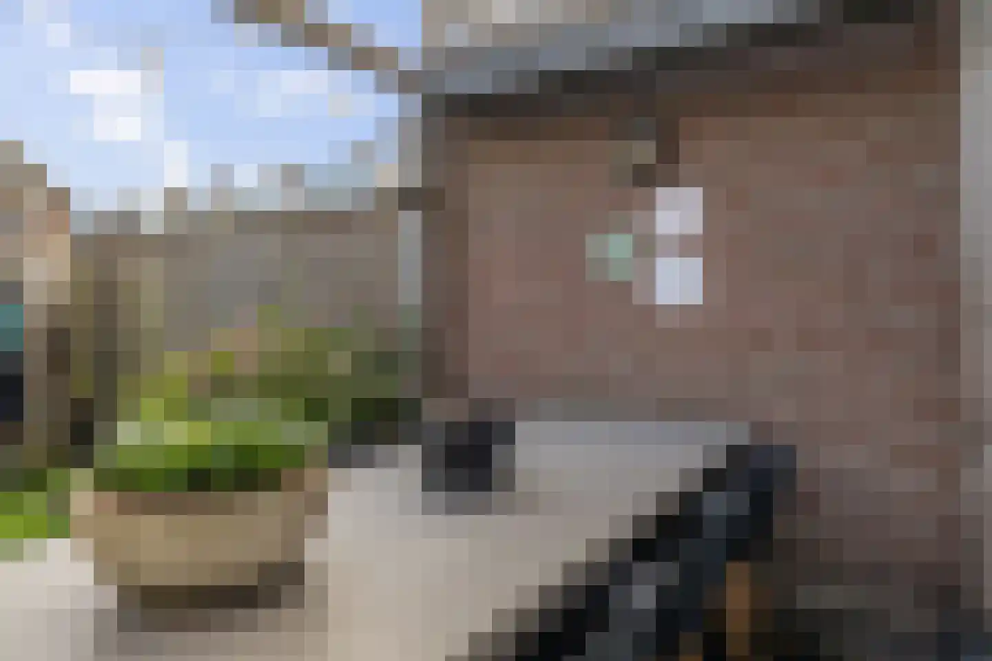 Rembrandtstraat 7 Hoogeveen thumbnail 40
