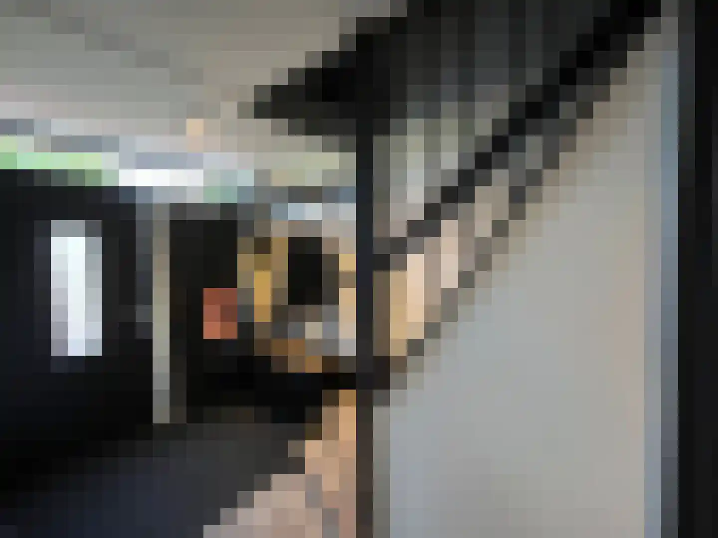 Rembrandtstraat 7 Hoogeveen thumbnail 5