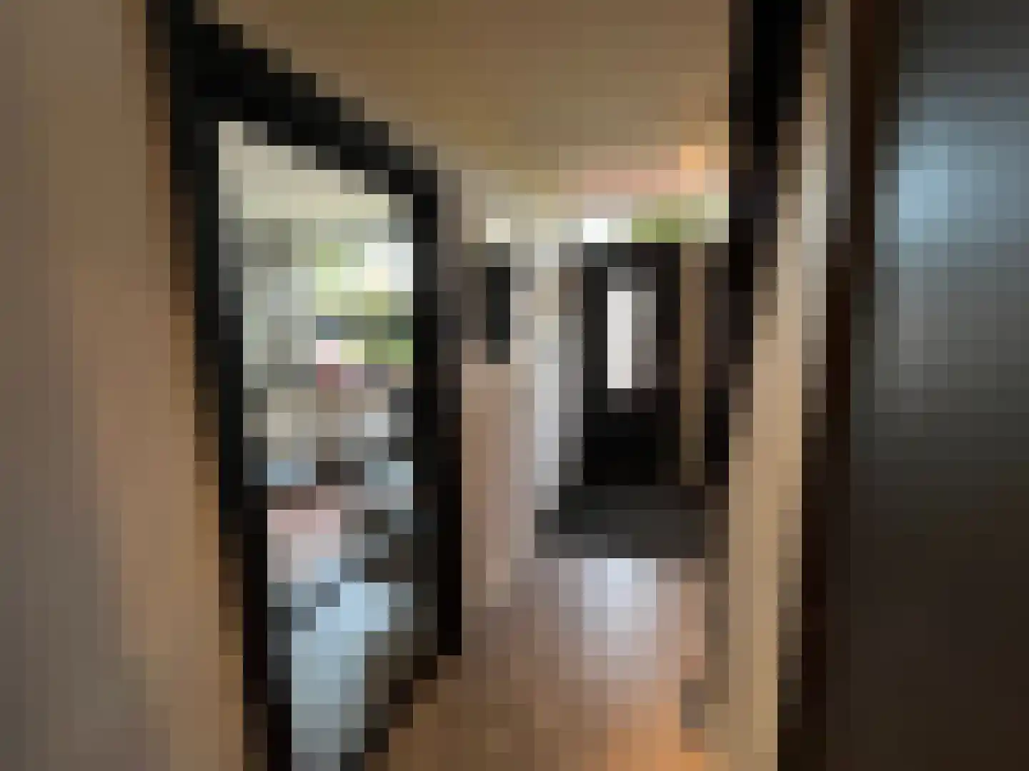 Rembrandtstraat 7 Hoogeveen thumbnail 6