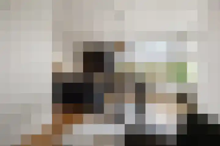 Rembrandtstraat 7 Voorthuizen thumbnail 11