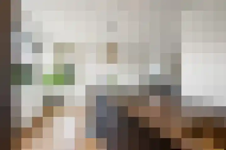 Rembrandtstraat 7 Voorthuizen thumbnail 13
