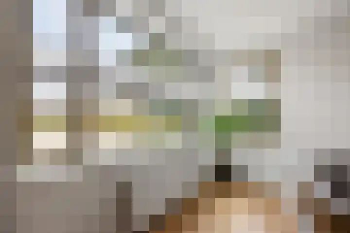 Rembrandtstraat 7 Voorthuizen thumbnail 15