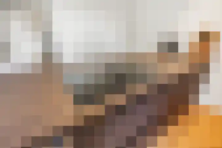 Rembrandtstraat 7 Voorthuizen thumbnail 17