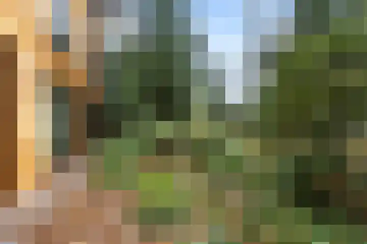 Rembrandtstraat 7 Voorthuizen thumbnail 27