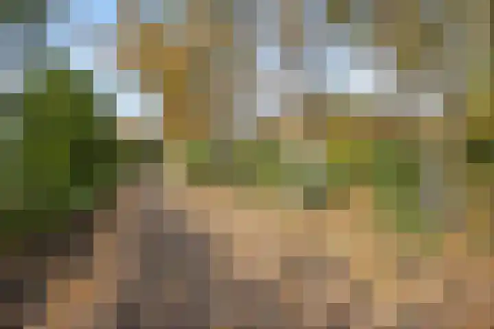 Rembrandtstraat 7 Voorthuizen thumbnail 28