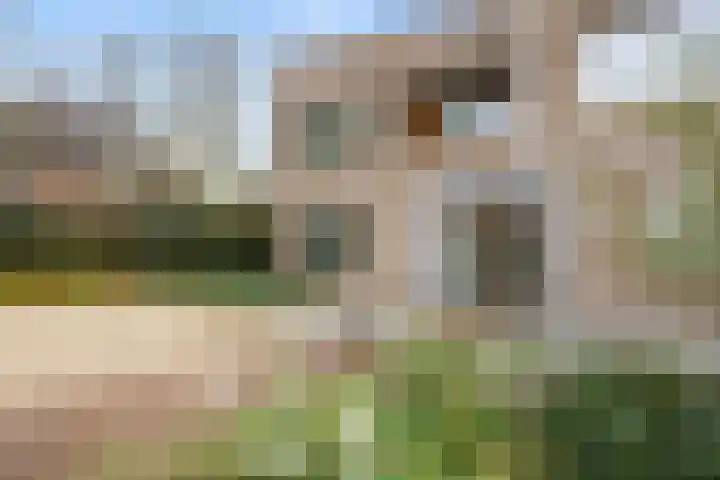Rembrandtstraat 7 Voorthuizen thumbnail 5