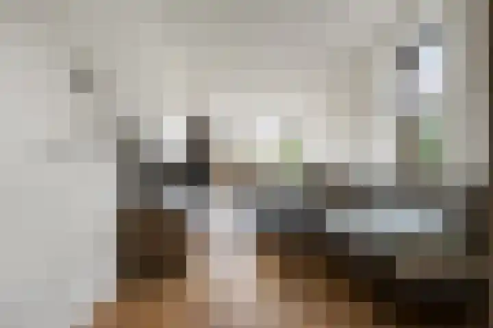 Rembrandtstraat 7 Voorthuizen thumbnail 8