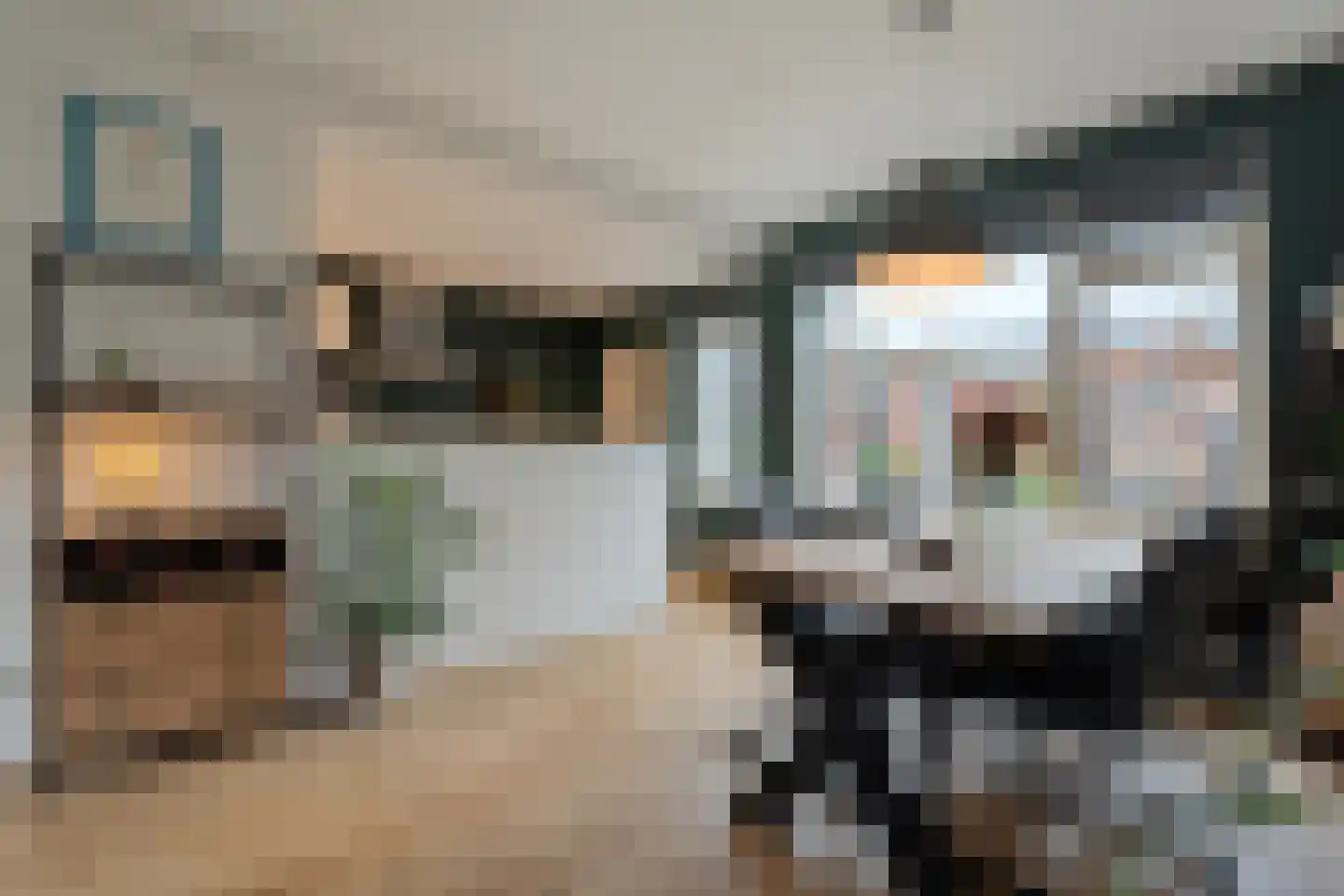 Rembrandtstraat 70 Hardenberg thumbnail 11