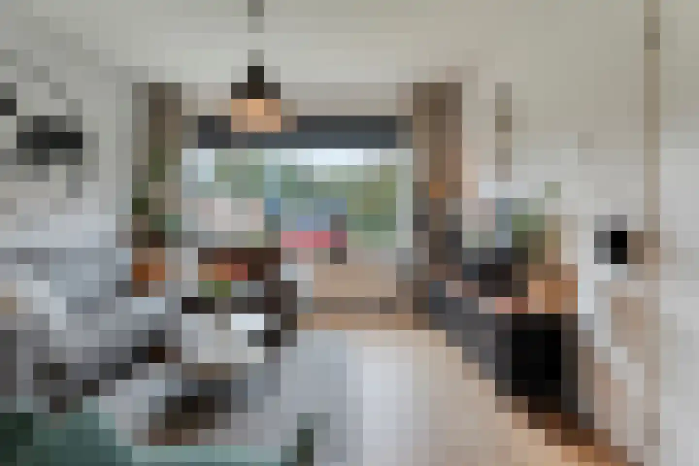 Rembrandtstraat 70 Hardenberg thumbnail 4