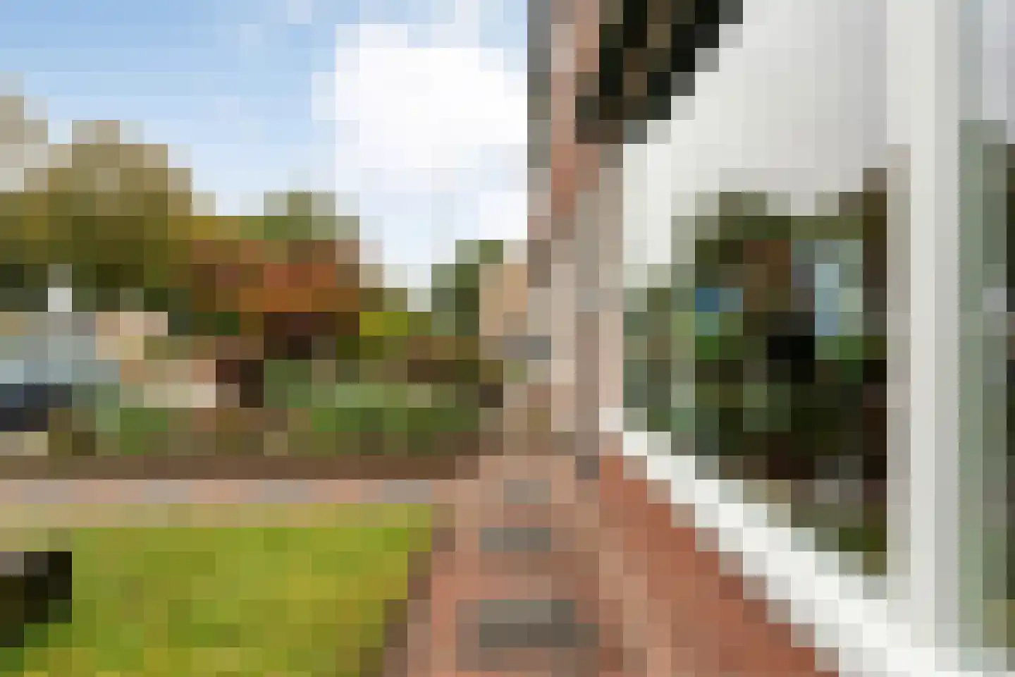 Rembrandtstraat 70 Hardenberg thumbnail 52