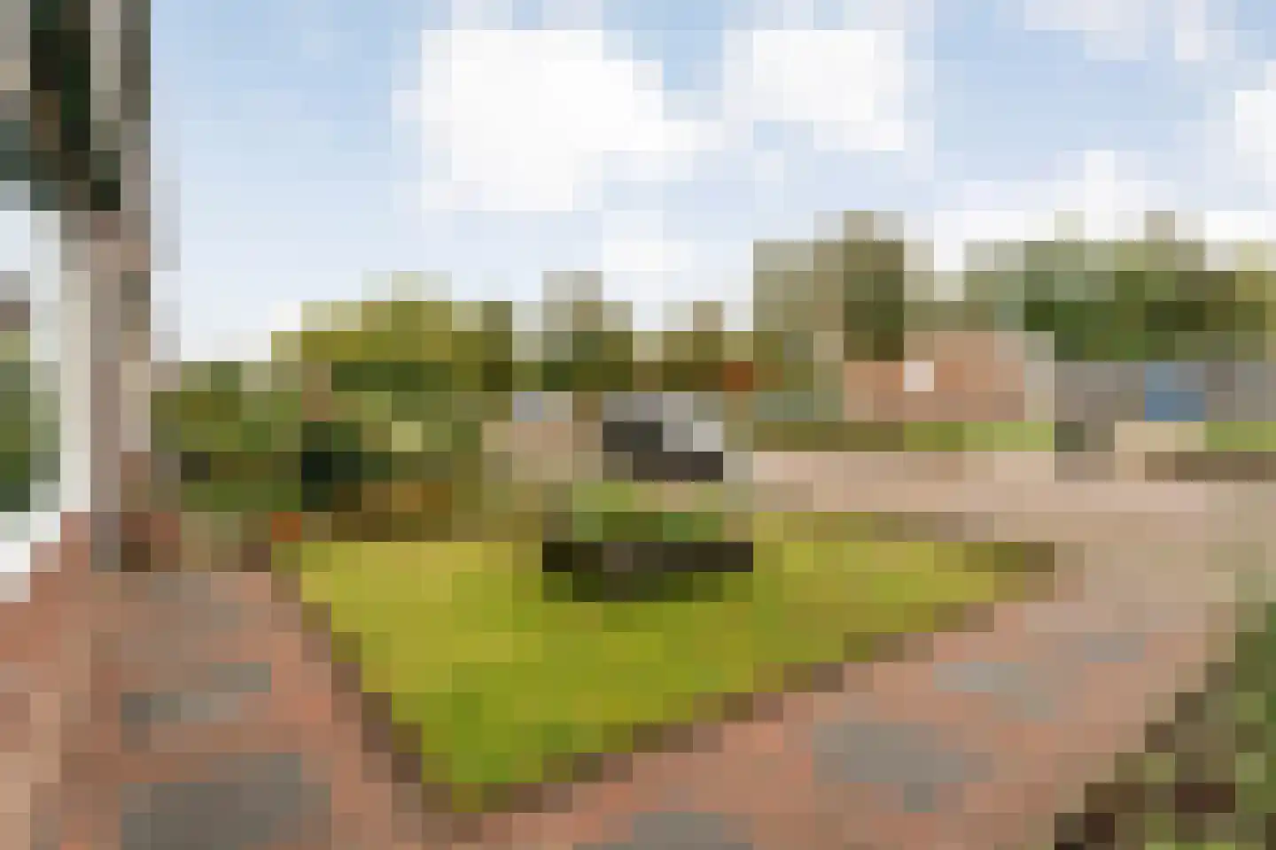 Rembrandtstraat 70 Hardenberg thumbnail 53