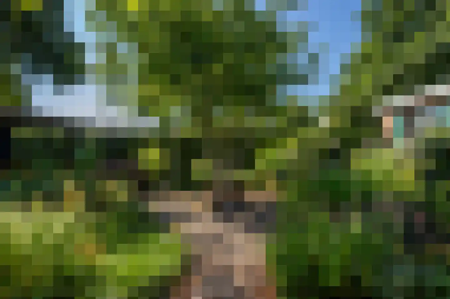 Rembrandtstraat 70 Hardinxveld-Giessendam thumbnail 32