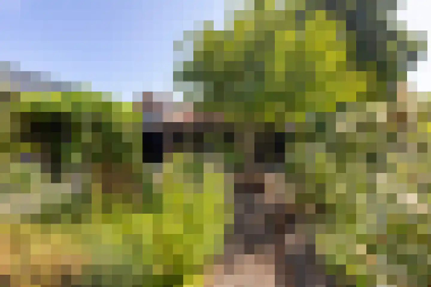 Rembrandtstraat 70 Hardinxveld-Giessendam thumbnail 33