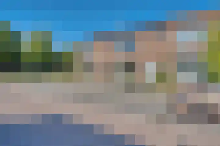 Rembrandtstraat 71 Zwijndrecht thumbnail 6