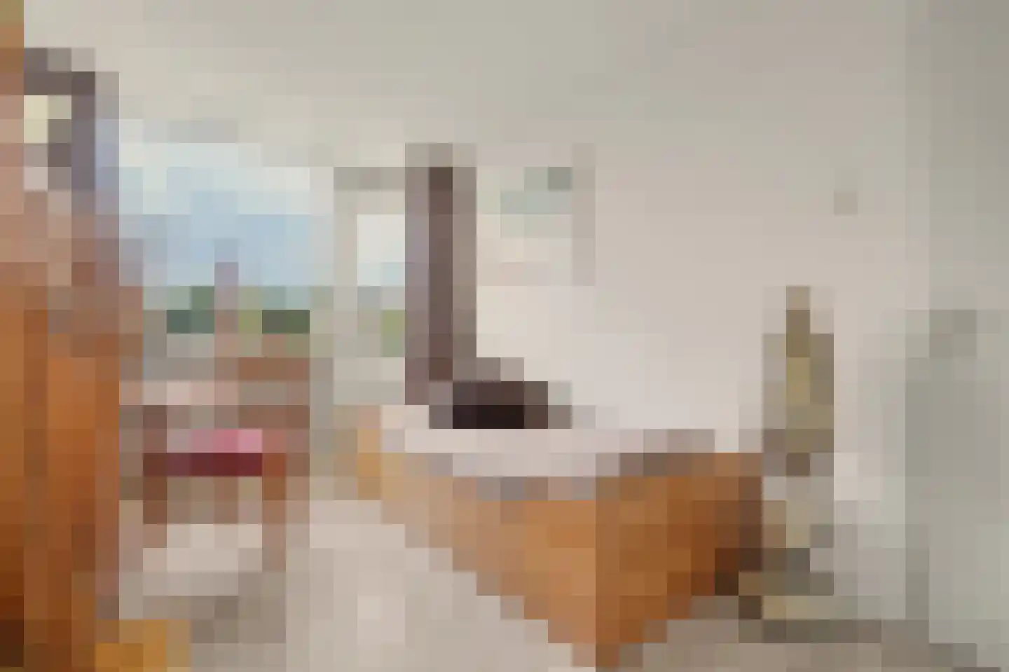 Rembrandtstraat 73 Oud-Beijerland thumbnail 20
