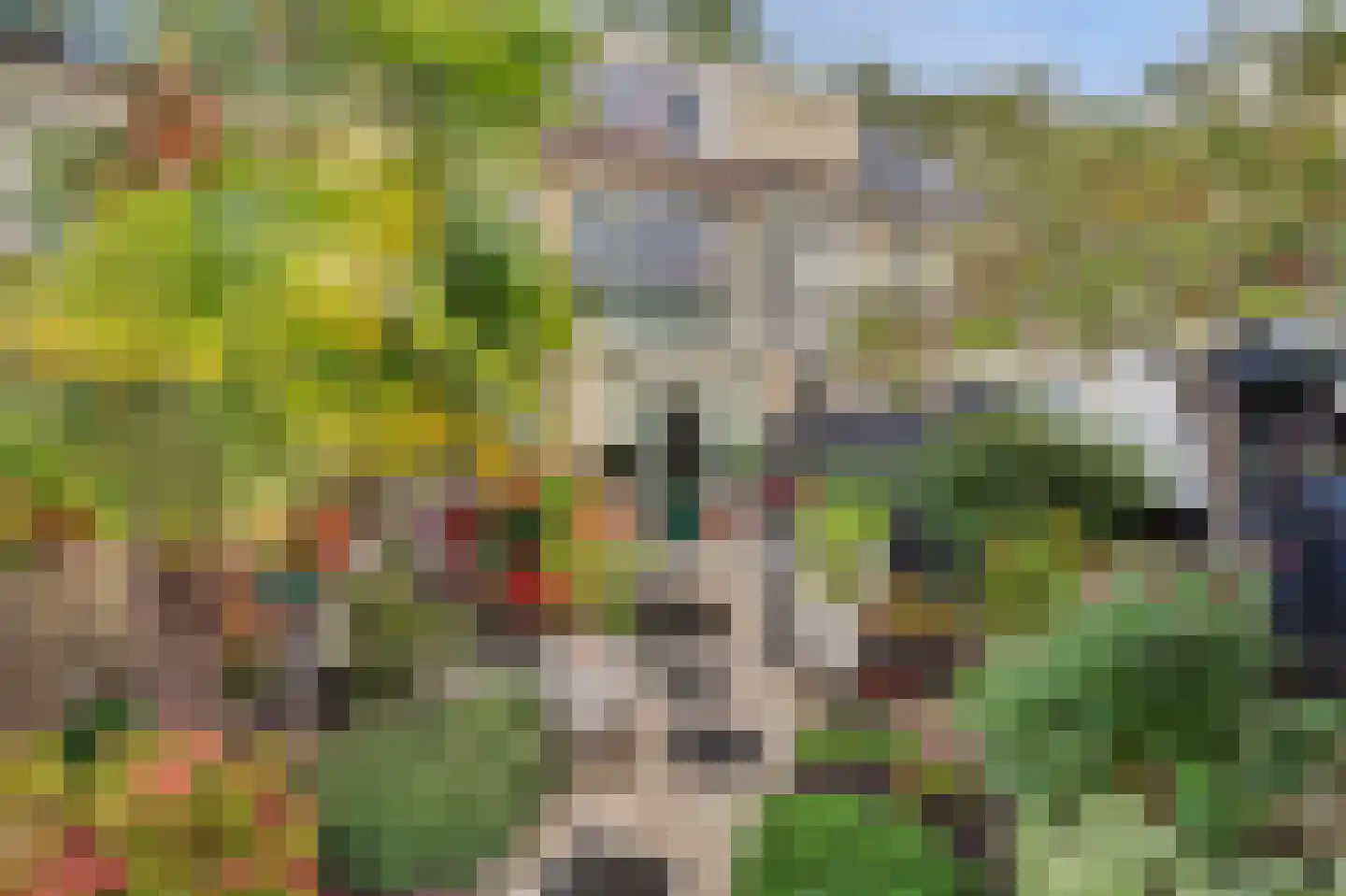 Rembrandtstraat 73 Oud-Beijerland thumbnail 6