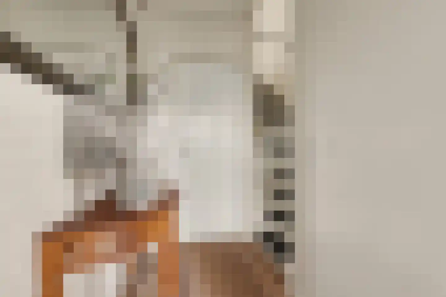 Rembrandtstraat 73 Oud-Beijerland thumbnail 7