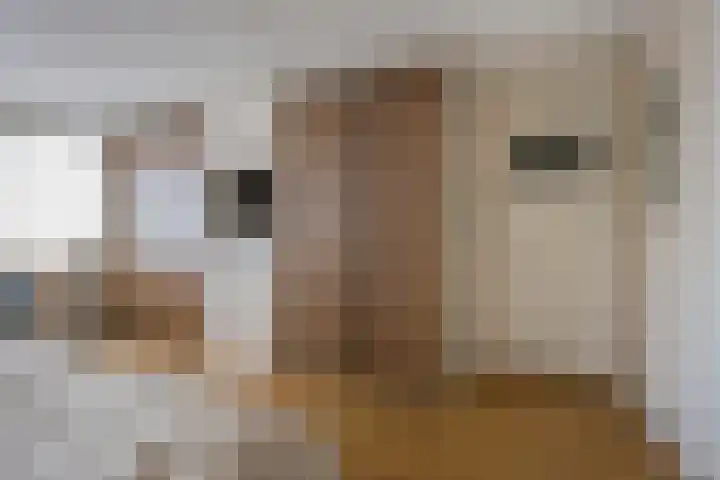 Rembrandtstraat 75 Voorthuizen thumbnail 20