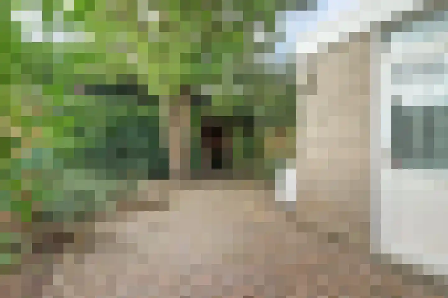 Rembrandtstraat 76 Zaltbommel thumbnail 6