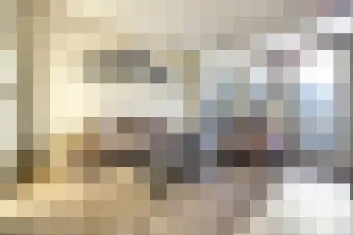 Rembrandtstraat 77 Spijkenisse thumbnail 10