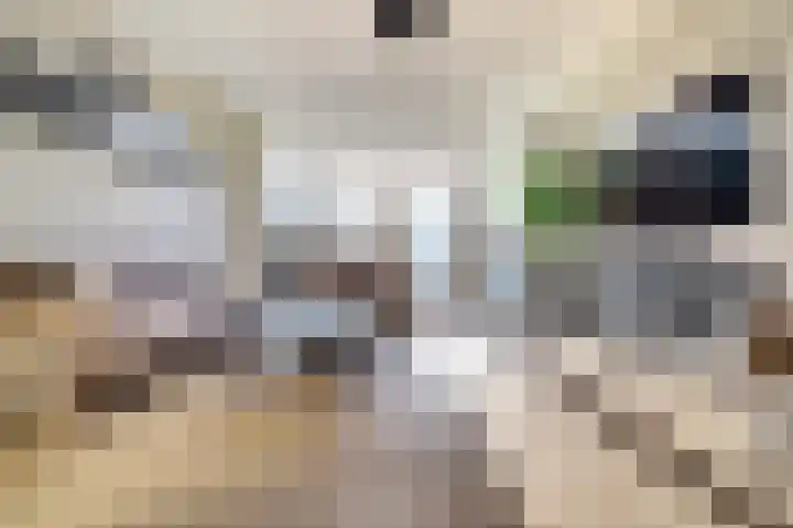 Rembrandtstraat 77 Spijkenisse thumbnail 11