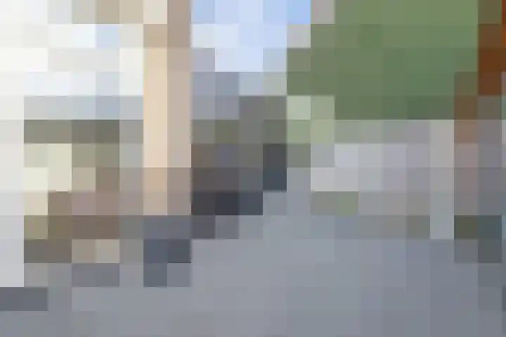 Rembrandtstraat 77 Spijkenisse thumbnail 15