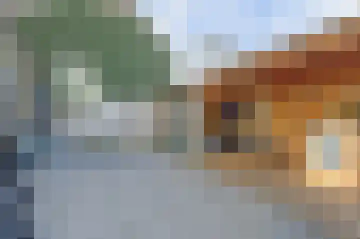 Rembrandtstraat 77 Spijkenisse thumbnail 17