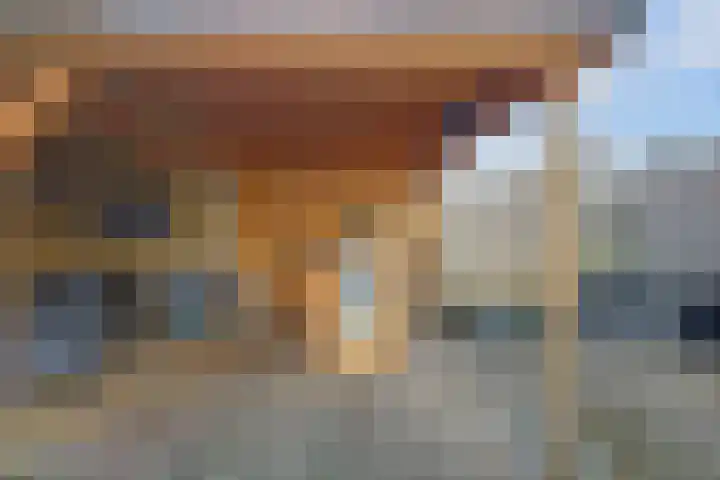 Rembrandtstraat 77 Spijkenisse thumbnail 21