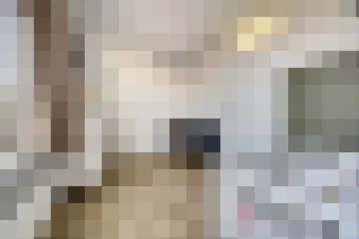 Rembrandtstraat 77 Spijkenisse thumbnail 24