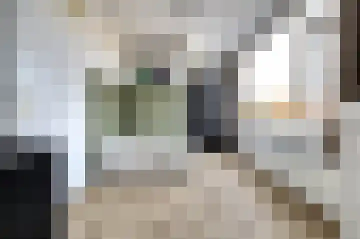Rembrandtstraat 77 Spijkenisse thumbnail 25