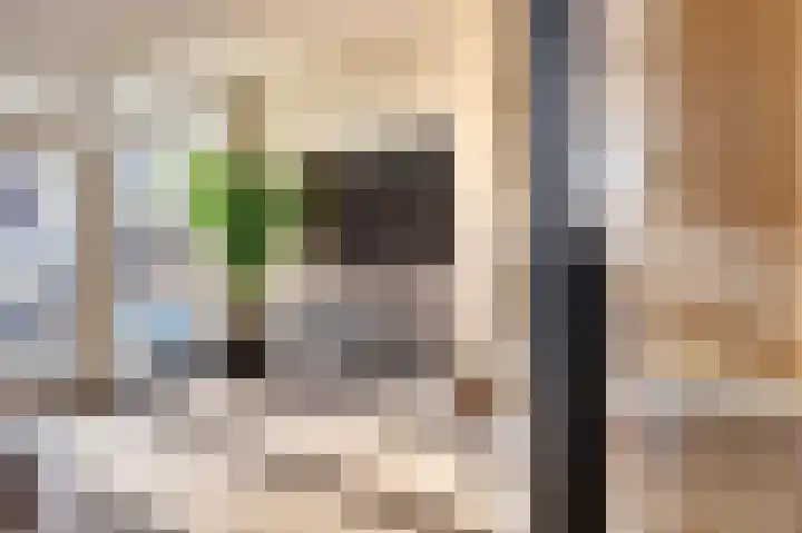 Rembrandtstraat 77 Spijkenisse thumbnail 4