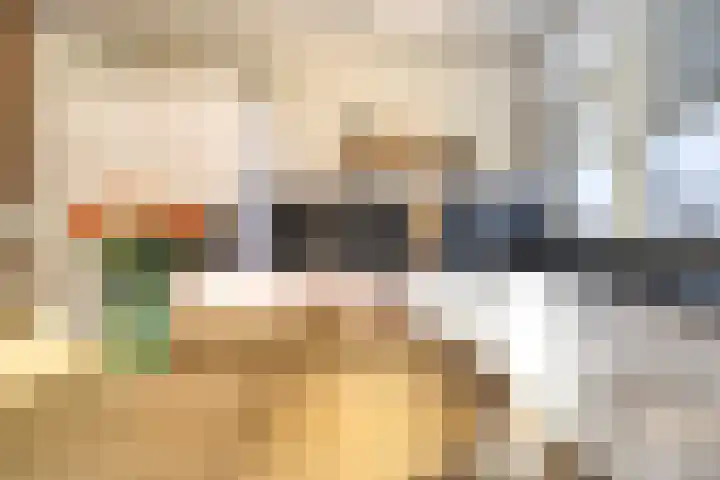 Rembrandtstraat 77 Spijkenisse thumbnail 6