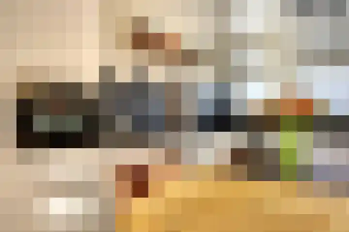 Rembrandtstraat 77 Spijkenisse thumbnail 8