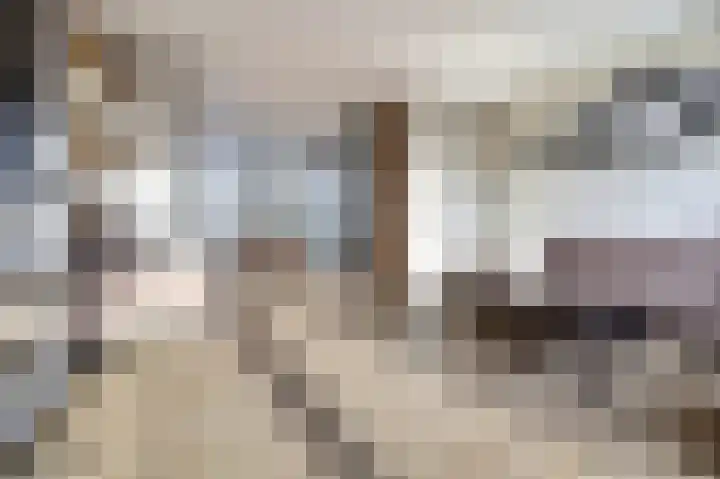 Rembrandtstraat 77 Spijkenisse thumbnail 9