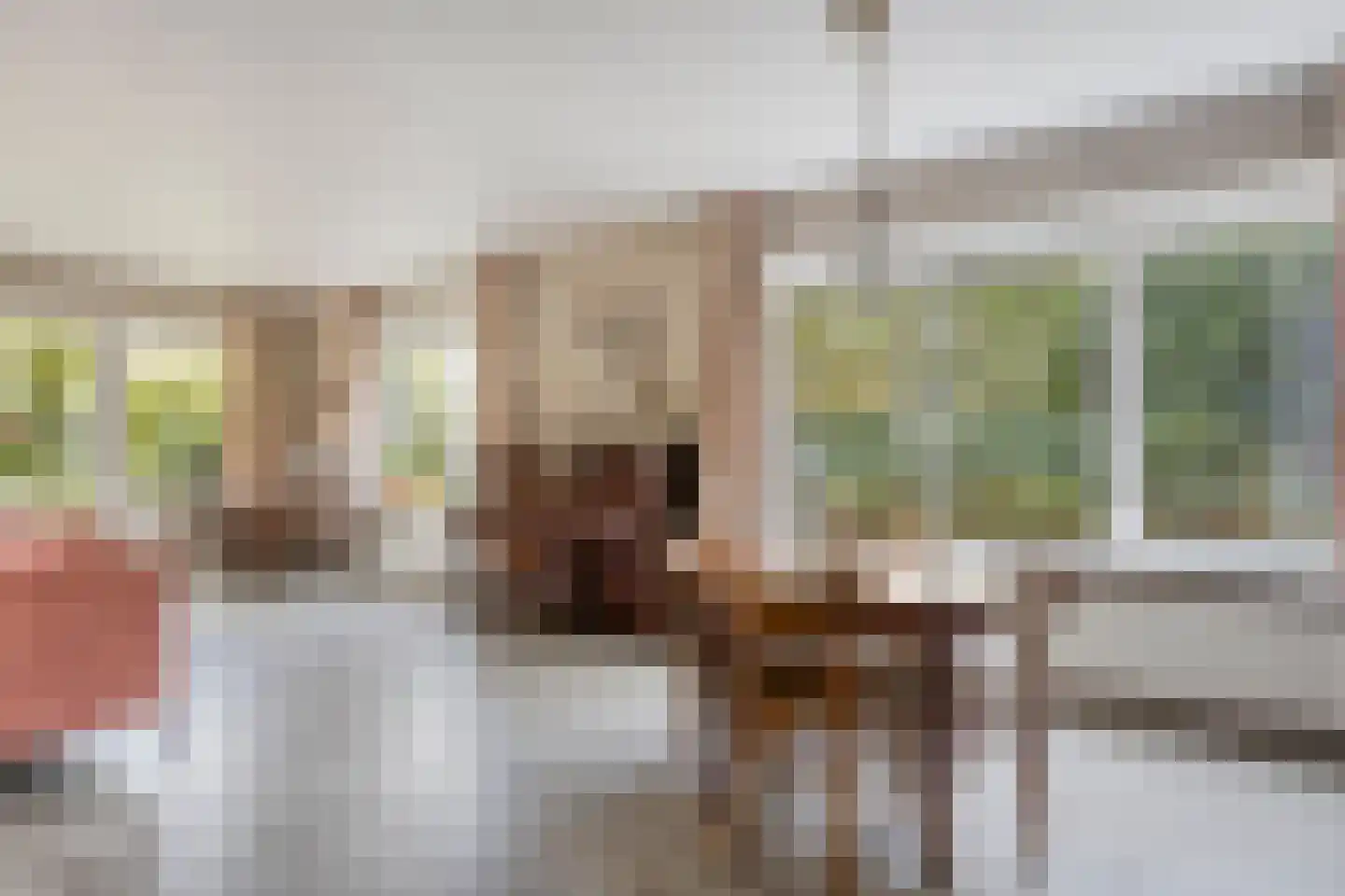 Rembrandtstraat 8 Zutphen thumbnail 10