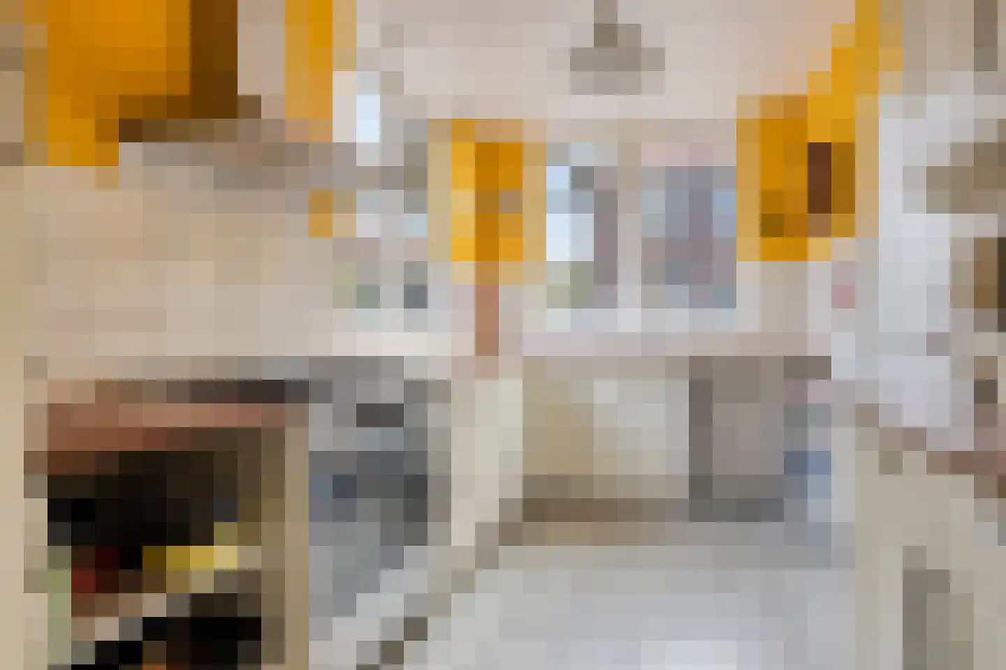 Rembrandtstraat 8 Zutphen thumbnail 11