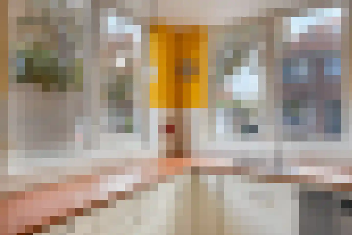Rembrandtstraat 8 Zutphen thumbnail 12