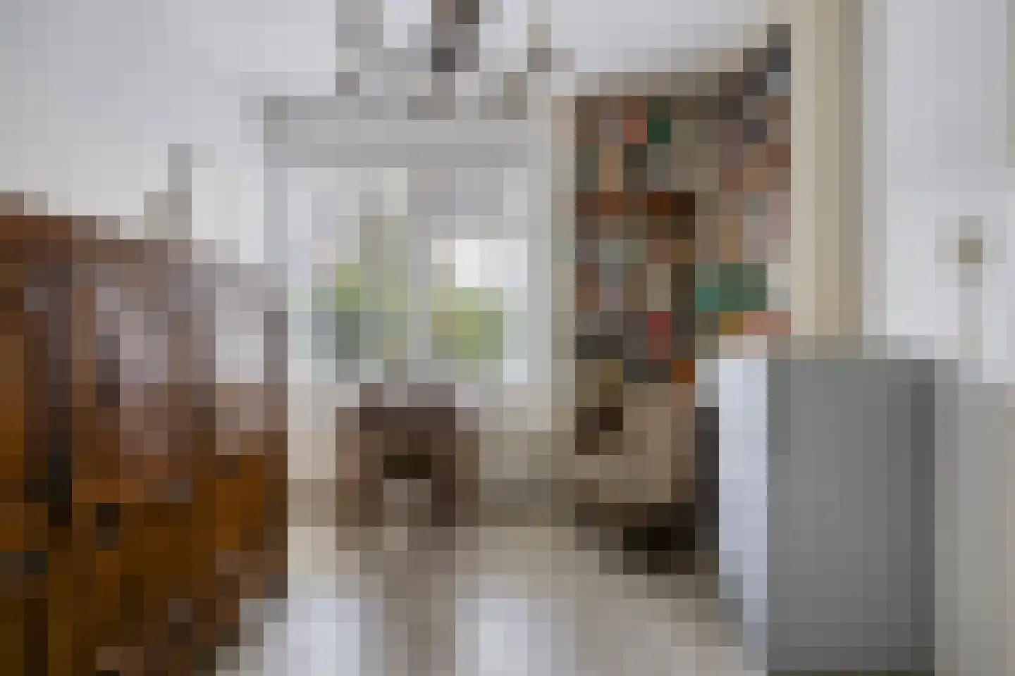 Rembrandtstraat 8 Zutphen thumbnail 14