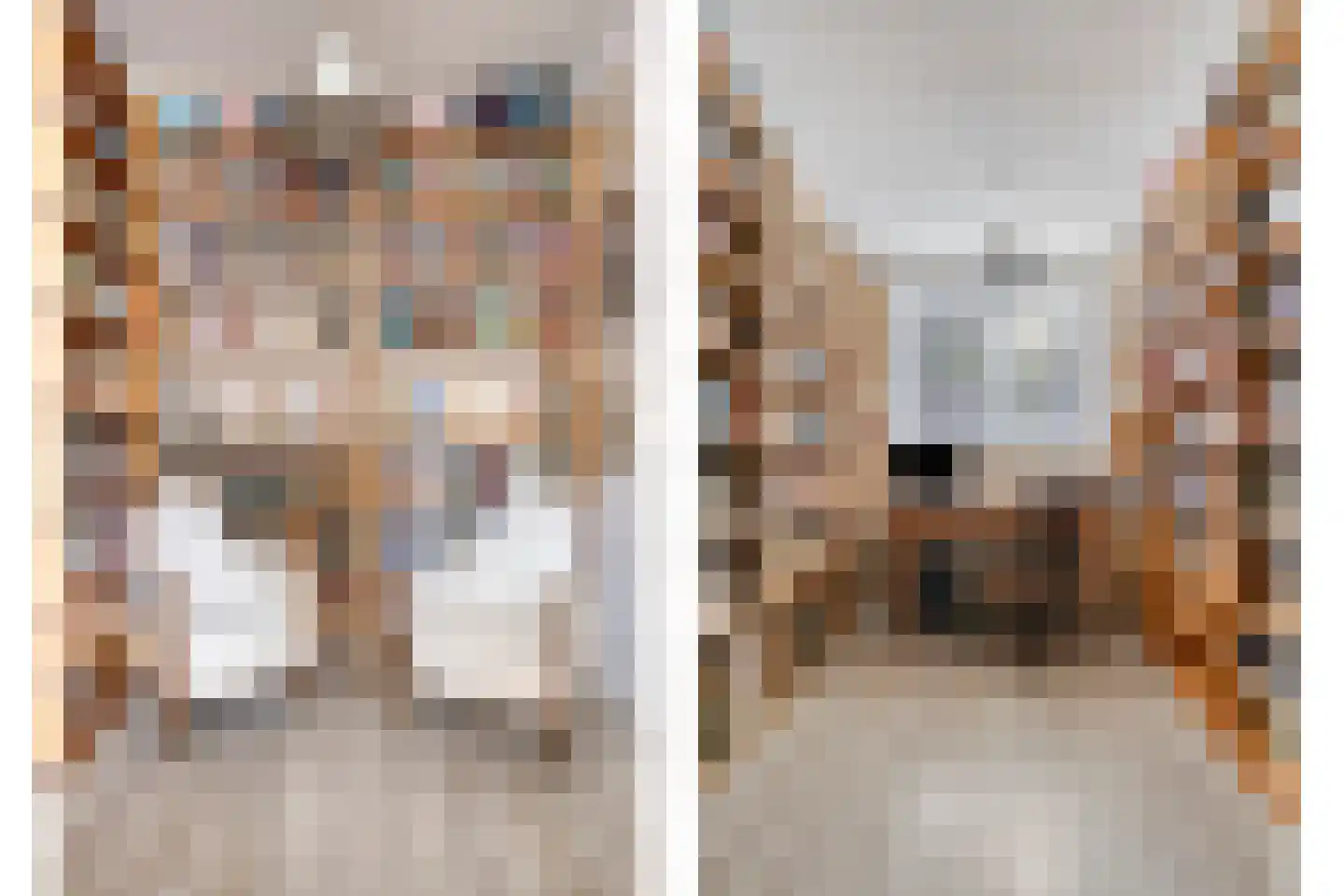 Rembrandtstraat 8 Zutphen thumbnail 17