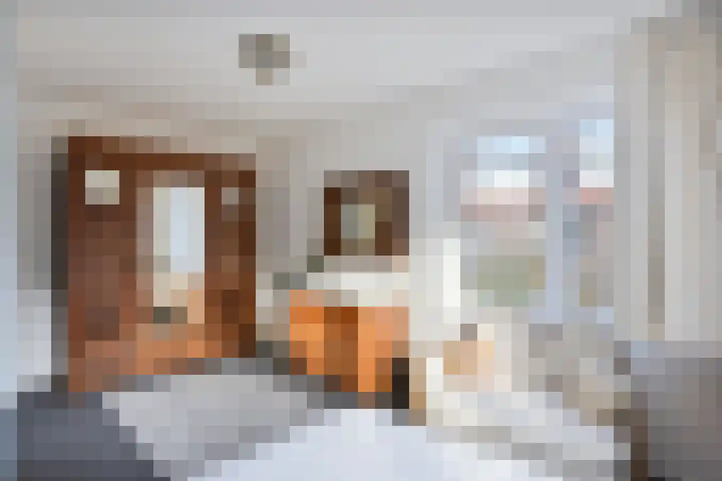 Rembrandtstraat 8 Zutphen thumbnail 29