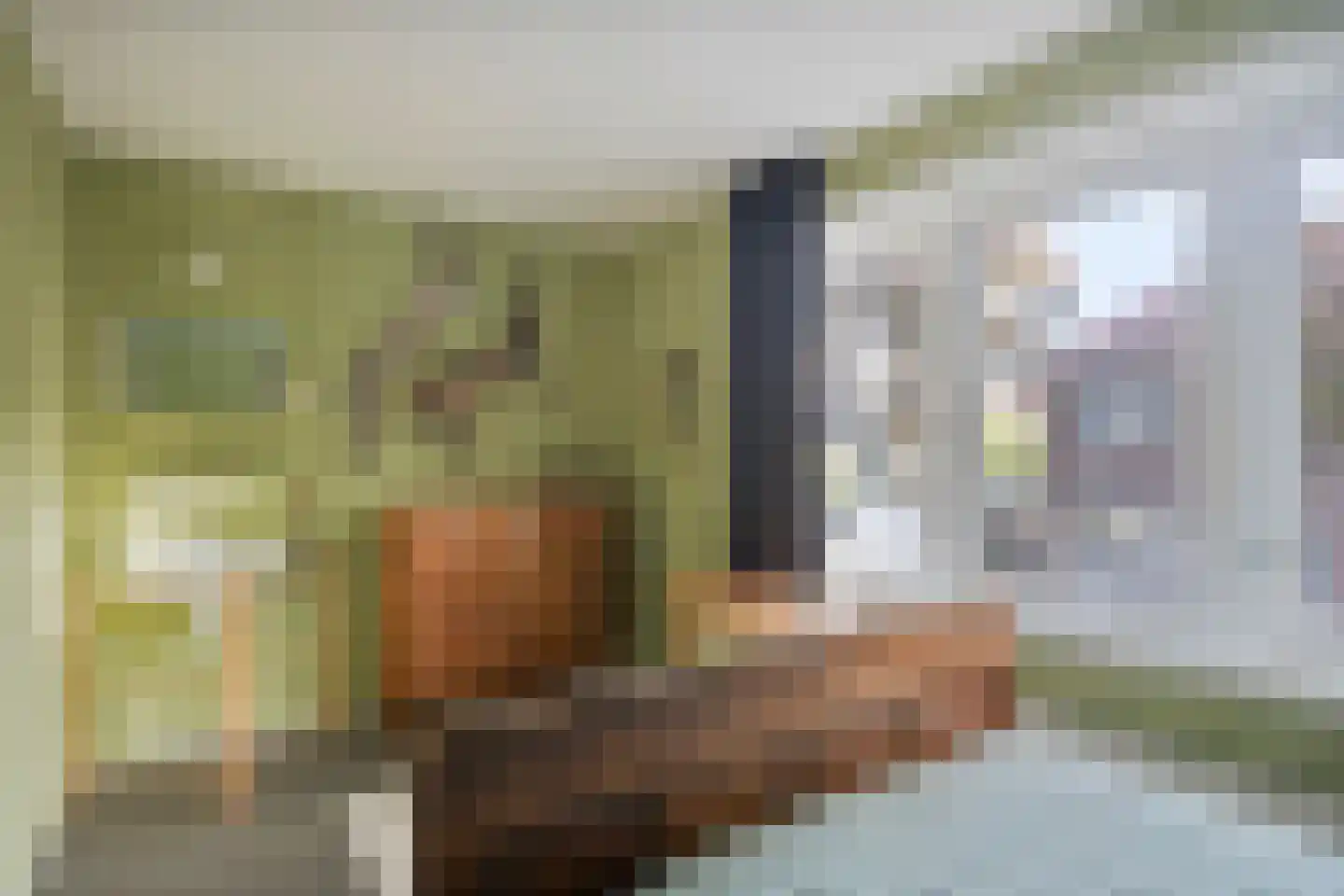 Rembrandtstraat 8 Zutphen thumbnail 31