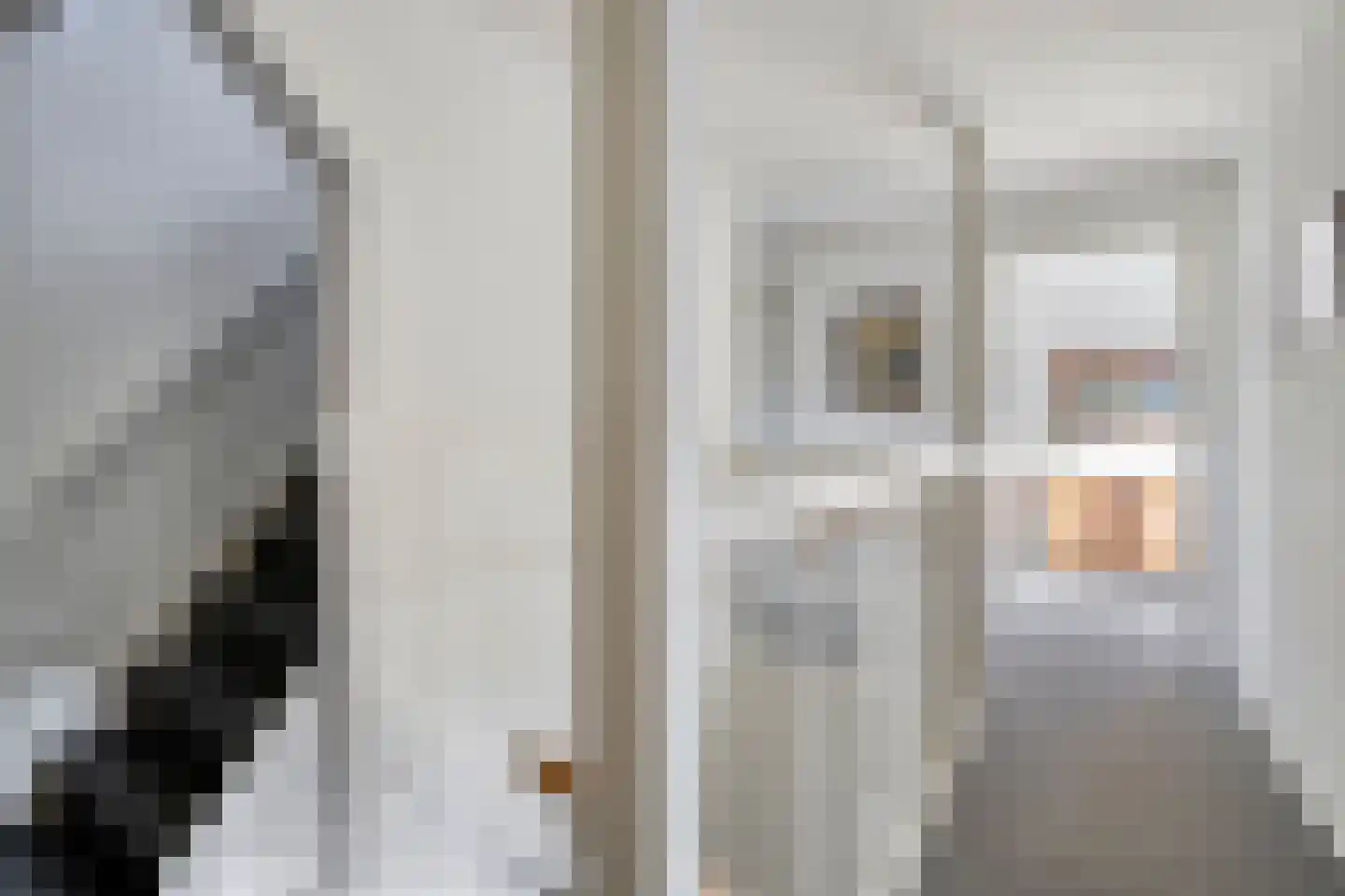 Rembrandtstraat 8 Zutphen thumbnail 36