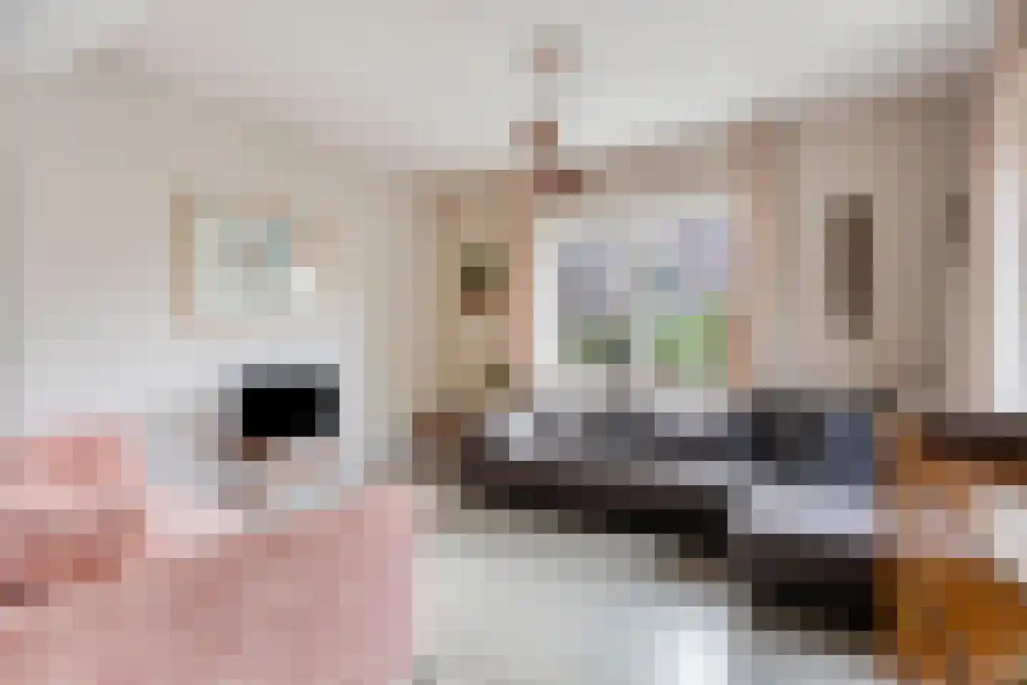Rembrandtstraat 8 Zutphen thumbnail 4