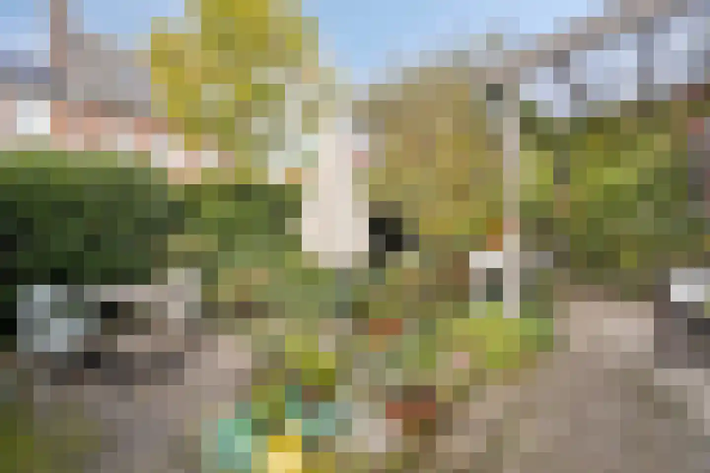 Rembrandtstraat 8 Zutphen thumbnail 40