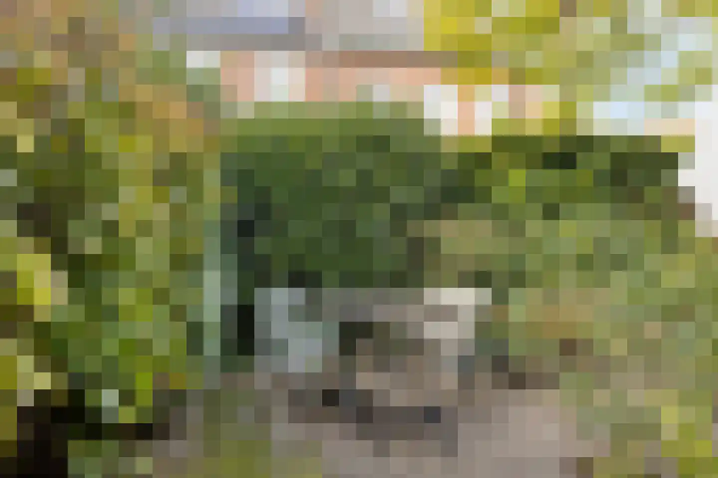 Rembrandtstraat 8 Zutphen thumbnail 41