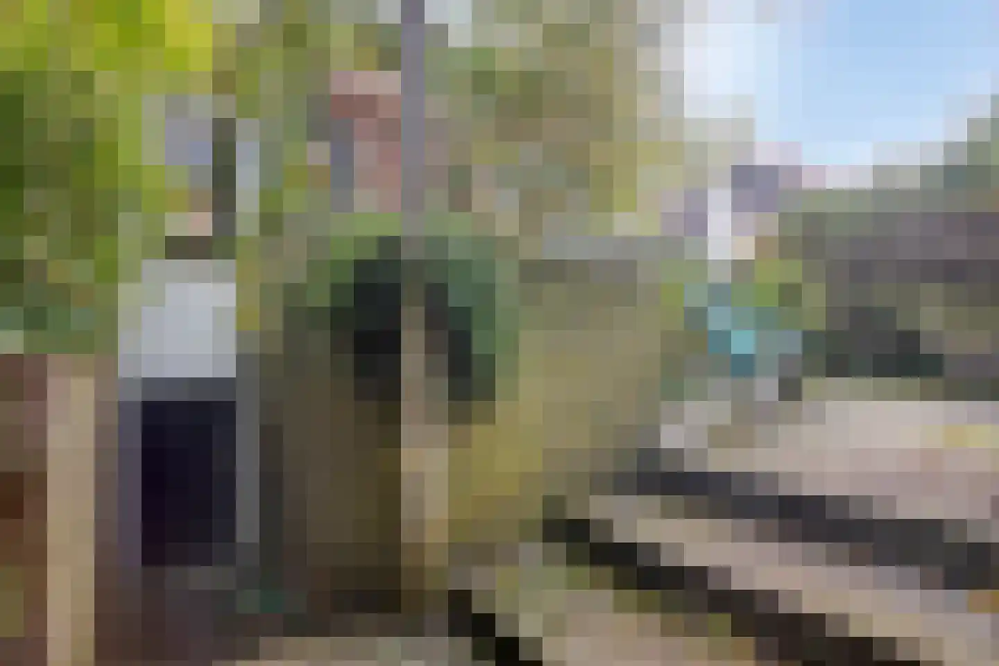Rembrandtstraat 8 Zutphen thumbnail 43