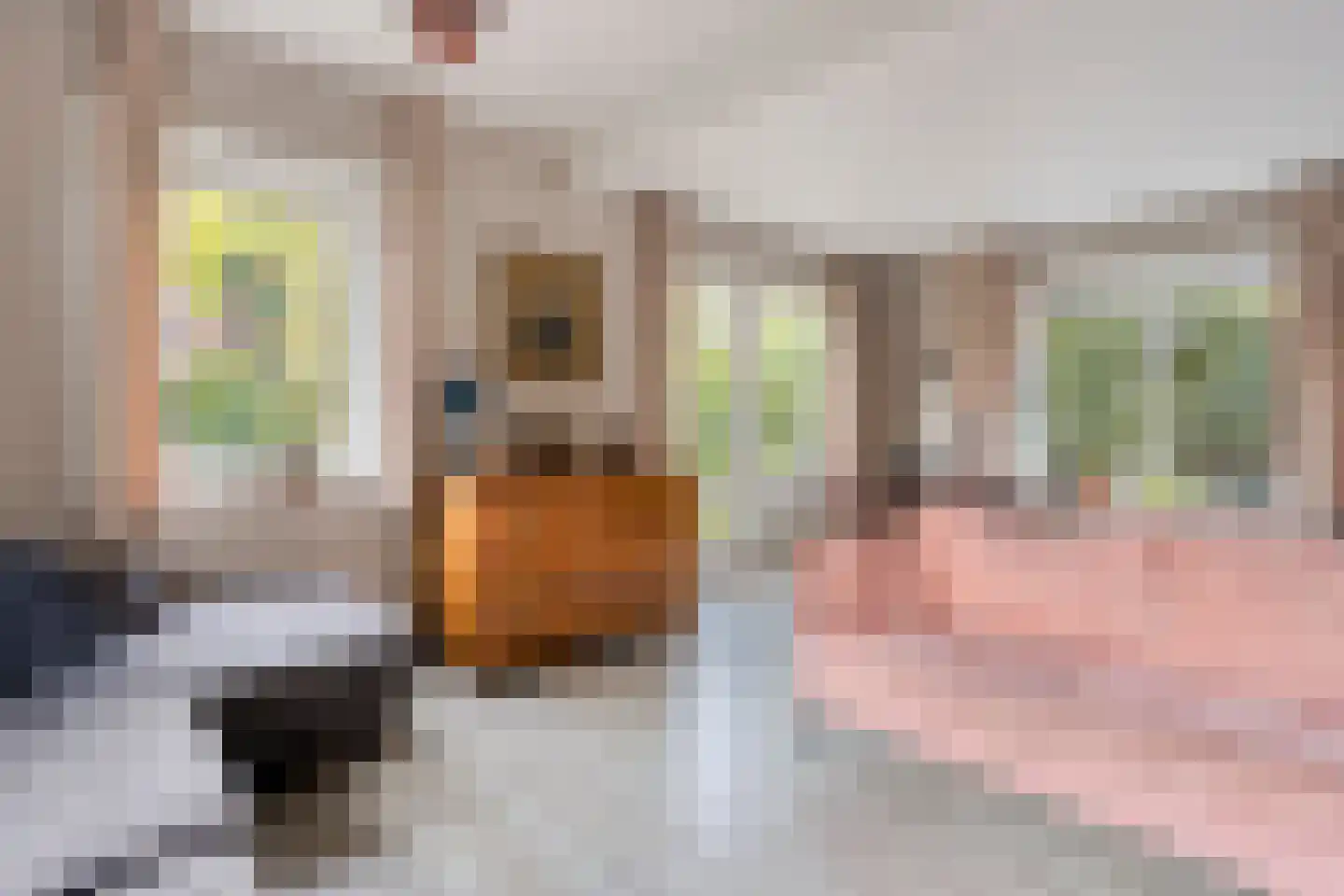 Rembrandtstraat 8 Zutphen thumbnail 5