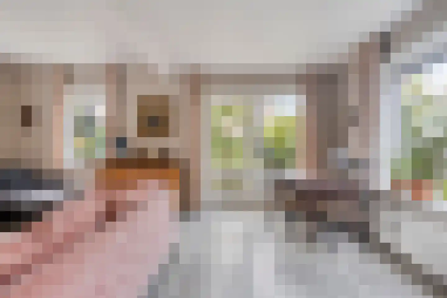 Rembrandtstraat 8 Zutphen thumbnail 6